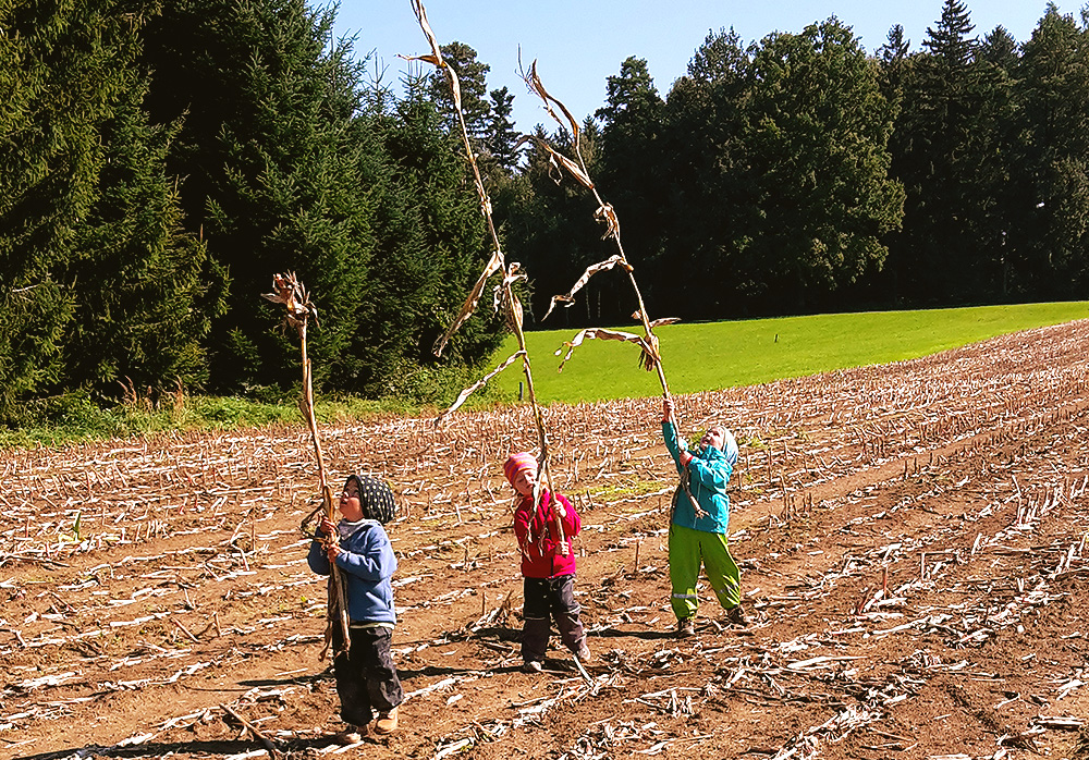 Kindergarten-Armstorf_Gruppe_Paradies_im_Wald-03
